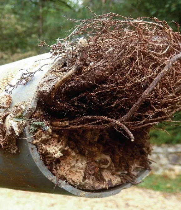 Sewer Line Cleanout 1